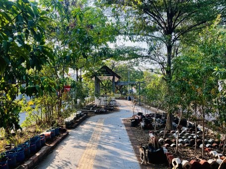 Gambar 3. Program Penghijauan Kampung yang Digalakkan oleh Warga Tambak Lorok   Foto diambil oleh Afrizal Ma’arif/WRI Indonesia (2025)    