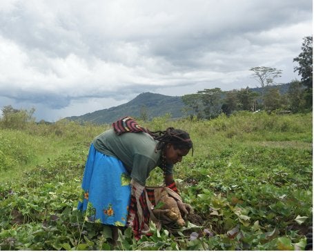 Orang Asli Papua