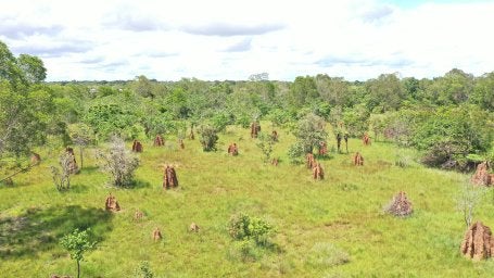 Padang Sabana
