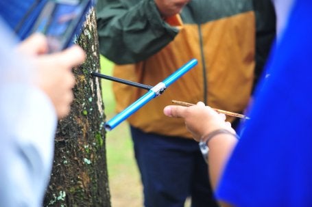 Scientists from IPB University in Indonesia use an increment borer to extract a wood core sample. Technologies that analyze chemical signatures can help trace timber back to its origin. Image by Sophie Labaste/WRI&nbsp;