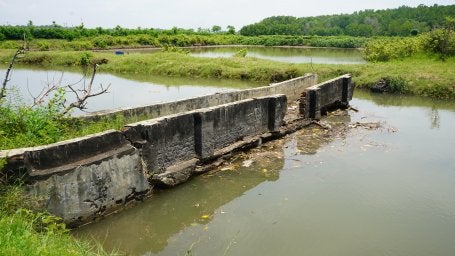 Salah satu tanggul petambak warga Banyuwangi.
