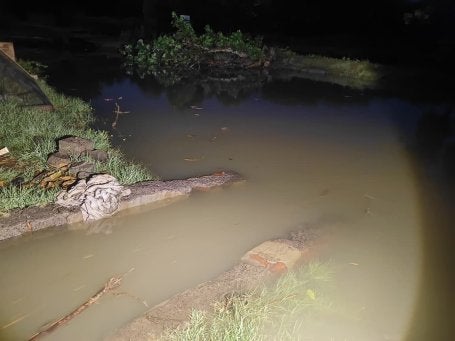 Tembok tanggul tambak udang di Banyuwangi