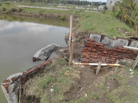 Tembok tanggul tambak udang di Banyuwangi
