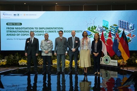 COP31 1