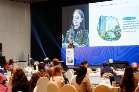 Karin Programme Manager IKI Hub