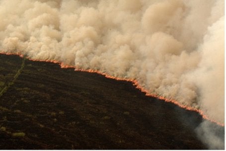 Forest and land fires documentation taken during 2019 El Niño season in South Sumatra