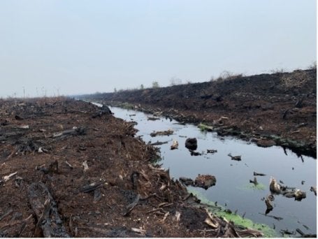 Forest and land fires documentation taken during 2019 El Niño season in South Sumatra