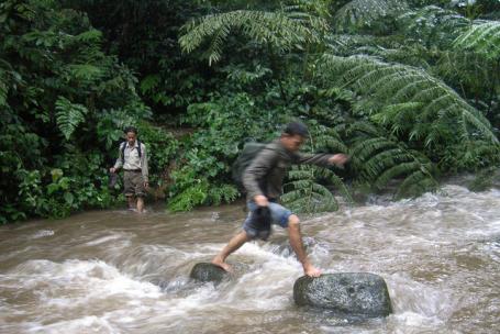 A significant part of Indonesia's geothermal potential is located in its forests. Photo credit: CIFOR/Flickr