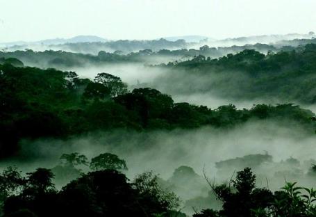 Photo credit: Matthew Steil/WRI
