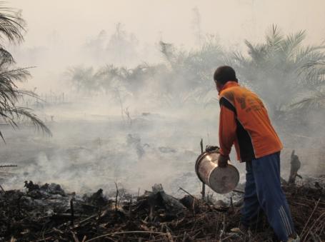 Memadamkan kebakaran di Riau Maret 2014. Sumber foto: Julius Lawalata/WRI