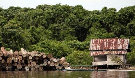 Tree cover loss in Indonesia declined for the second year in a row in 2018, but problem areas remain in some provinces. Photo by Josh Estey/AusAID