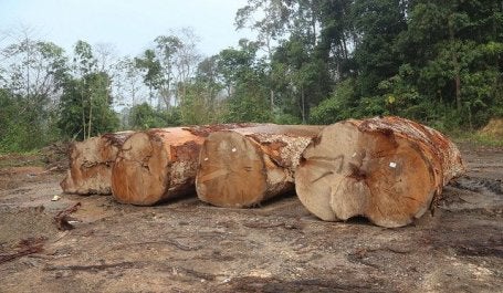 Harvesting logs in Malaysia. Photo by Wakx/Flickr