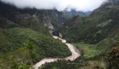 Forest in Baliem Valley, West Papua. Flickr/Axel Drainville