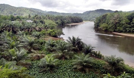 Into the wild: Subayang River, which parts the Bukit Rimbang Bukit Baling Wildlife Sanctuary, has seen numerous conflicts of interests between forest administrators and local stakeholders. (The Jakarta Post/Tarko Sudiarno)