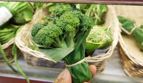 No plastic: Eggplants, water spinach, asparagus and many other fresh vegetables at a supermarket in Ubud, Bali, are wrapped in banana leaves and bamboo ties. Photo credit: Ni Komang Erviani/The Jakarta Post