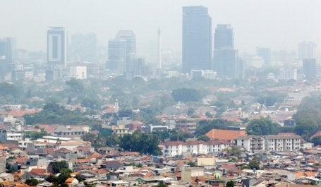 The Green New Deal aims to dramatically reduce greenhouse gas emissions, create high-paying jobs, ensure that clean air, clean water and healthy food are available as basic human rights and end all forms of oppression. Photo credit: JP/Dhoni Setiawan