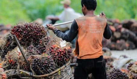 petani-sawit-di-siak-riau.jpg