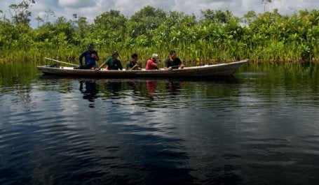 Peat Subsidence Indonesia