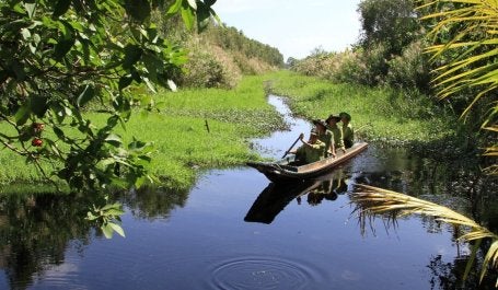 Patrol through the waterway conducted by U Minh Ha National Park officials (Image by Trần Quốc Khải)
