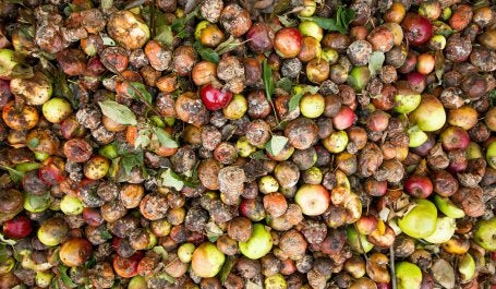 Rotten fruits.