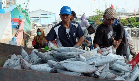 Fishers in coastal Jakarta