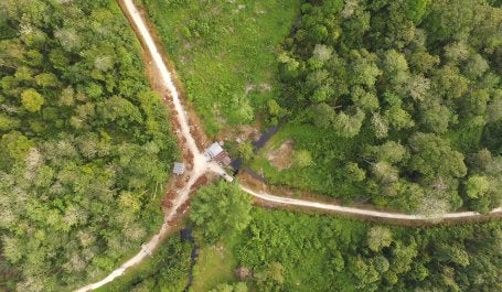 Meninjau Keadaan Ekonomi Hijau Indonesia: Bagaimana seharusnya strategi kita melangkah ke depan? 