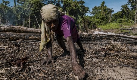 Perempuan sedang membersihkan lahan untuk berkebun