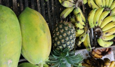 Buah-buahan sebagai Opsi Pola Makan Sehat