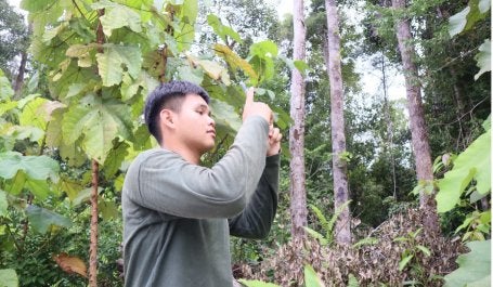 Penyang Pemantau Independen