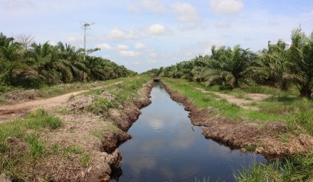 Cover Image by: Perdana Gultom/WRI Indonesia