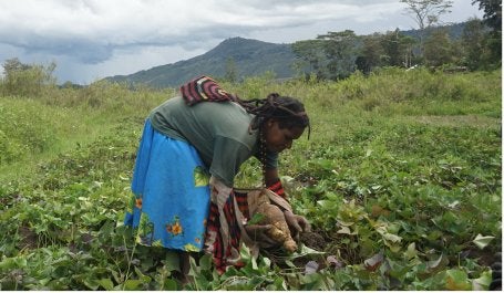 Orang Asli Papua