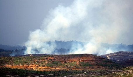 Many farmers in Indonesia use slash-and-burn methods to clear land for agriculture. Photo by Wakx/Flickr