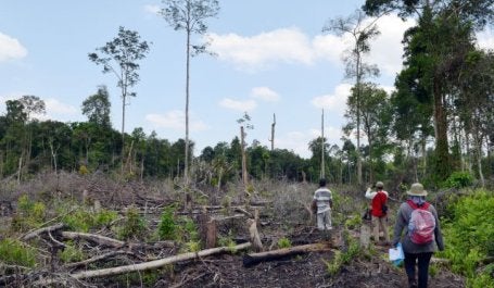 Community groups visit a site of tree clearing in Riau, Indonesia. Flickr/WRI