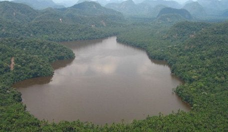Peru's Cordillera Azul National Park. Photo by Tadd and Debbie Ottman/Wikimedia Commons