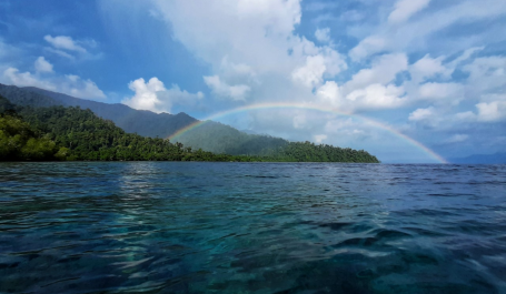 Hamparan laut di Papua Barat. Kredit foto: Rizky Haryanto/WRI Indonesia