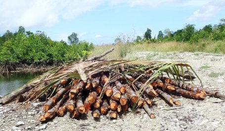Ilustrasi kayu gelondongan. Kredit foto: Zuraidah Said/WRI Indonesia