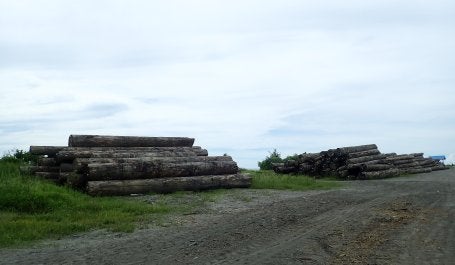 Tumpukan kayu di pinggir jalan. Kredit foto: Zuraidah Said/WRI Indonesia