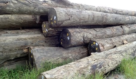 A stack of woods. Photo credit: Zuraidah Said/WRI Indonesia