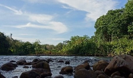 Sungai Mentawai. Foto: Hendrika Tiarma/ WRI Indonesia