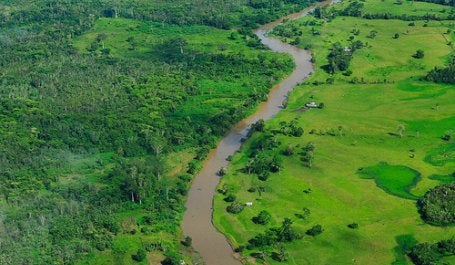 The FORMA team, which started at the Center for Global Development and moved to the Data Lab at WRI, was inspired by the DETER and SAD forest monitoring systems covering the Brazilian Amazon. Photo Credit: CIFOR/Flickr 2011