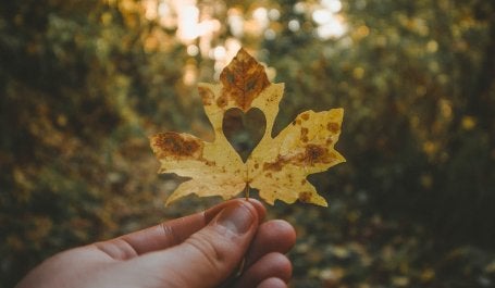 For us, LOVE stands for ‘Living Our Values Everyday’. Photo credit: Anthony Intraversato/Unsplash