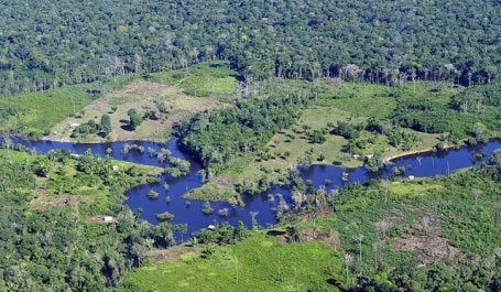 What can other big data initiatives seeking to combat climate change learn from Global Forest Watch? Photo credit: CIAT/Flickr