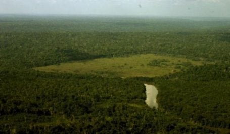Deforestation in Para, Brazil. The situations in Brazil and Indonesia should lend a sense of urgency and purpose to the climate negotiations in Durban, South Africa. Photo Credit: Leoffreitas/Flickr