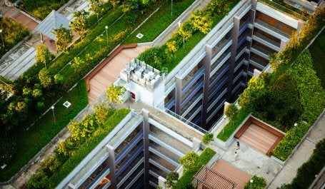 NbS mampu menghadirkan multimanfaat dan bersifat lebih adaptif daripada infrastruktur fisik. Foto: CHUTTERSNAP/Unsplash