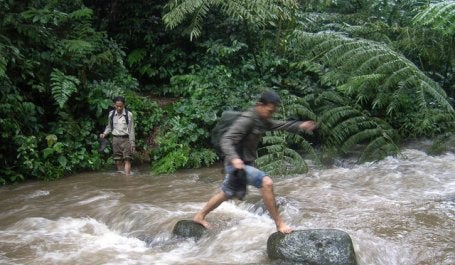 A significant part of Indonesia's geothermal potential is located in its forests. Photo credit: CIFOR/Flickr