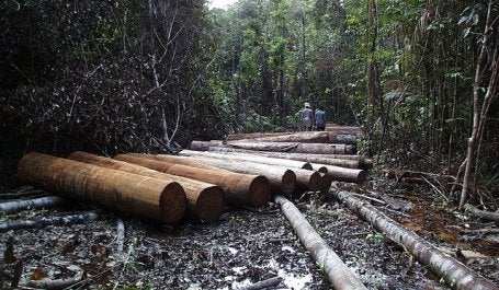 Deforestation is often associated with commodity production in Indonesia. Credit: Agung Prasetyo/CIFOR