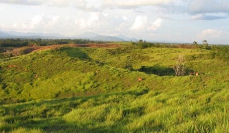 Degraded land in West Kalimantan, Indonesia. Photo credit: Sekala