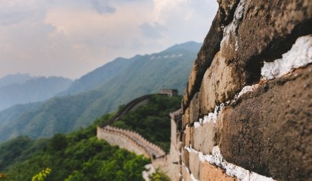 Indonesia perlu segera bersiap menjawab sinyal hijau dalam rantai pasok komoditasnya. Foto kredit: Diego Jumenez/Unsplash