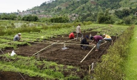 Areas of Indonesia are at high risk of erosion, which can threaten agricultural productivity. Photo by Danumurthi Mahendra/USAID