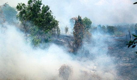 The majority of the fire alerts are concentrated in the Indonesian province of Riau, on the island of Sumatra. Photo credit: CIFOR/Flickr
